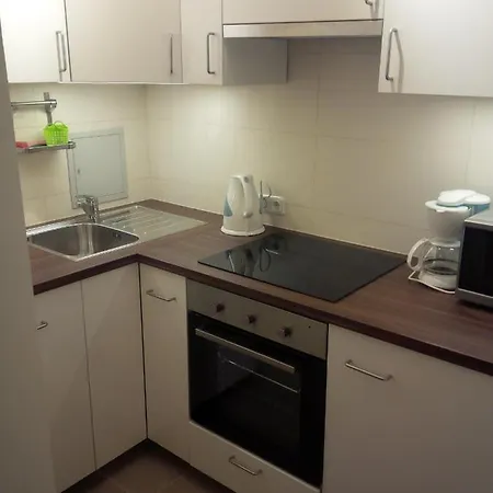 Appartementhaus Hochkoenig 1- Birgkar Apartment *