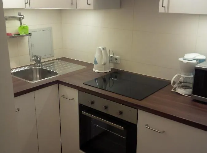 Appartementhaus Hochkoenig 1- Birgkar Apartment *